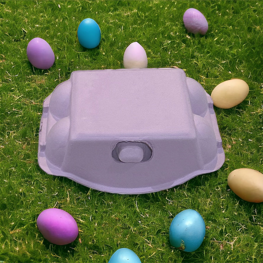 Colored Egg Carton - 6 Hole- various colours