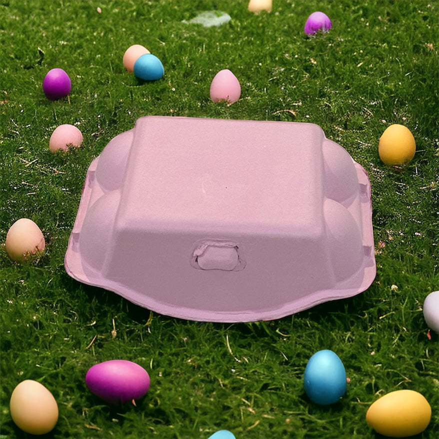 Colored Egg Carton - 6 Hole- various colours