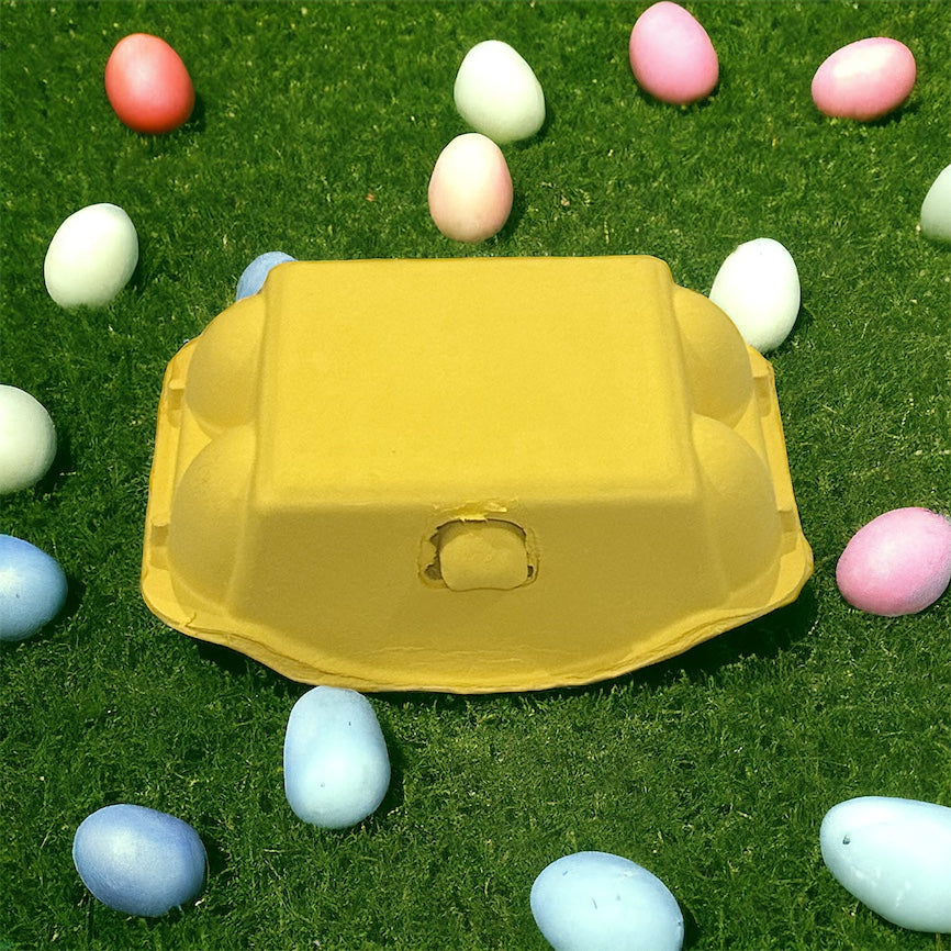 Colored Egg Carton - 6 Hole- various colours