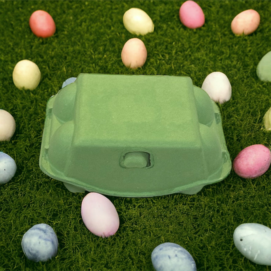 Colored Egg Carton - 6 Hole- various colours