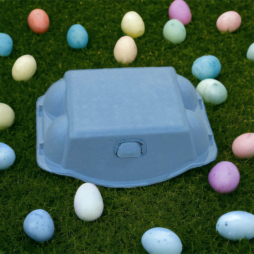 Colored Egg Carton - 6 Hole- various colours