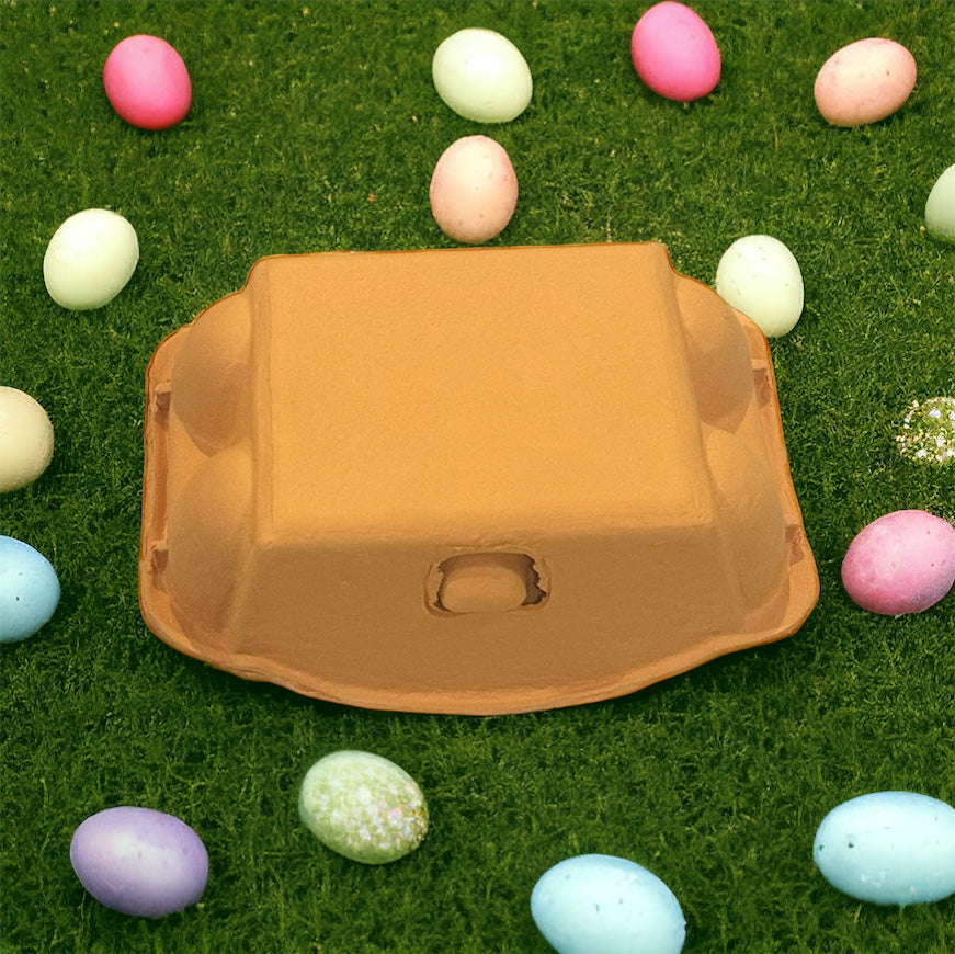 Colored Egg Carton - 6 Hole- various colours