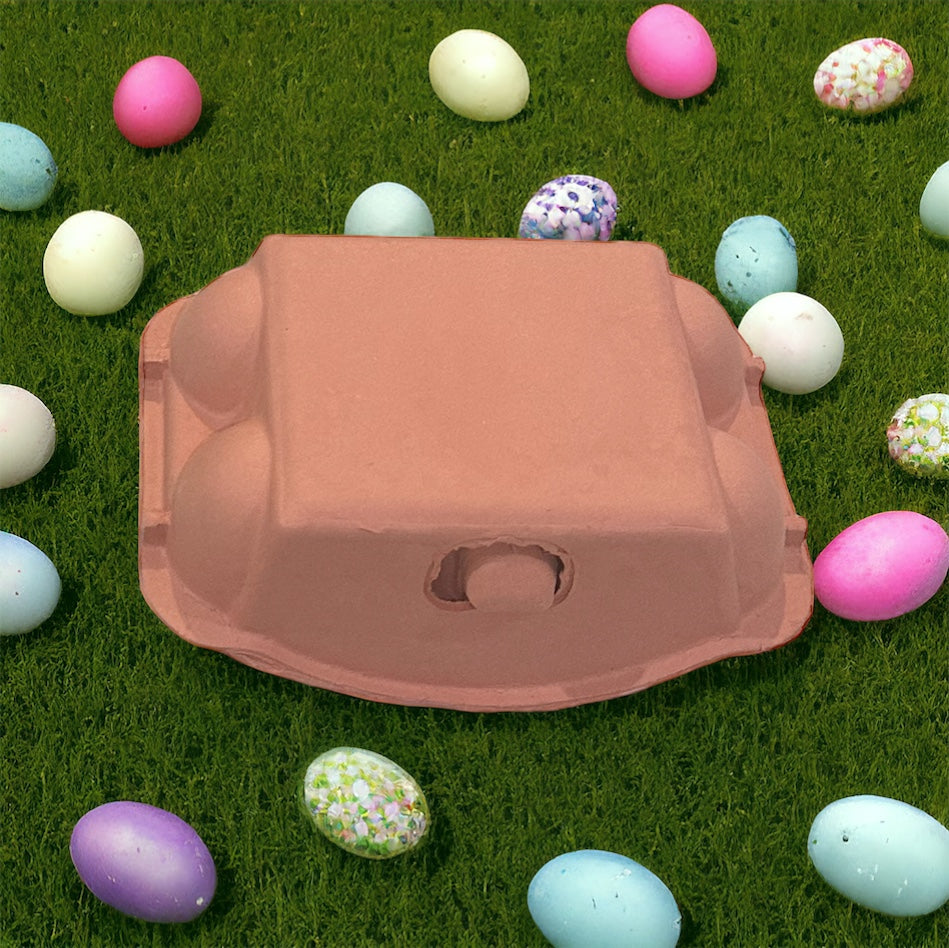 Colored Egg Carton - 6 Hole- various colours