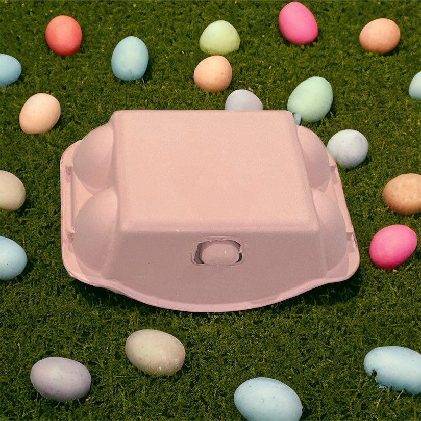 Colored Egg Carton - 6 Hole- various colours