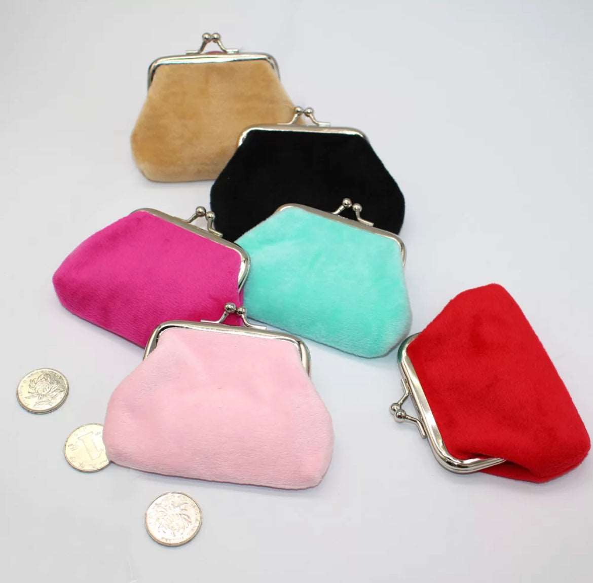 Coloured Coin Purse