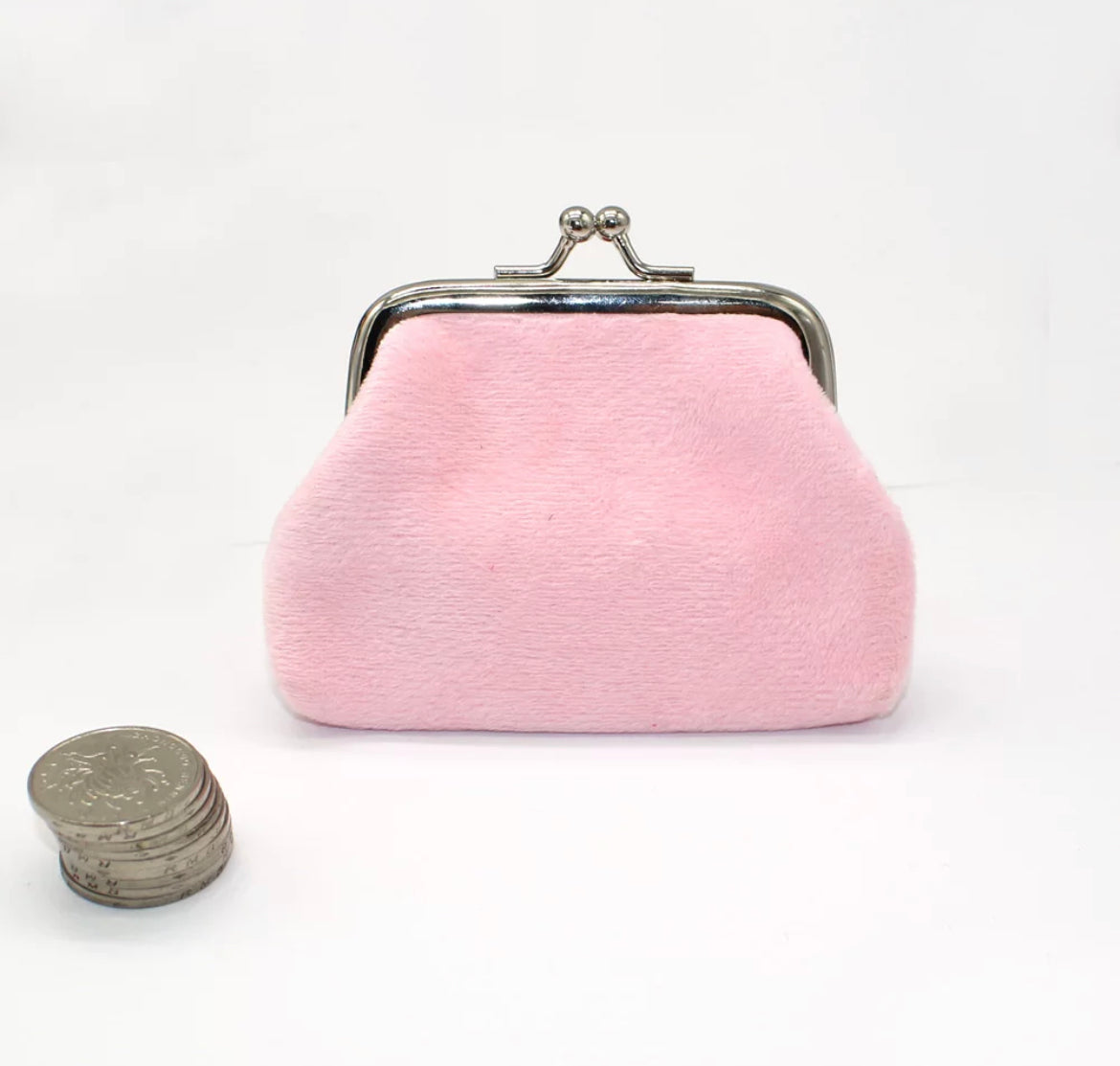 Coloured Coin Purse