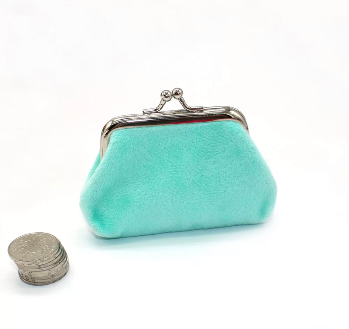 Coloured Coin Purse