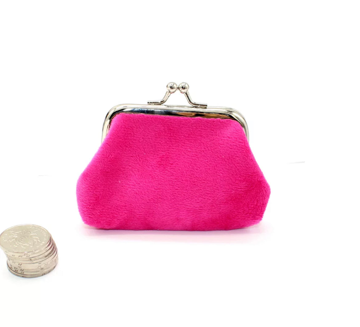 Coloured Coin Purse